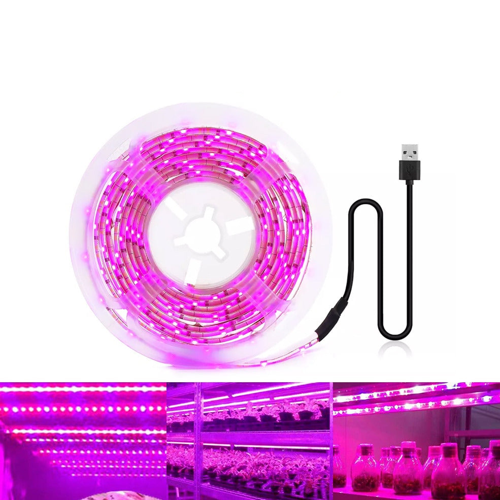 Usb plant on sale grow light