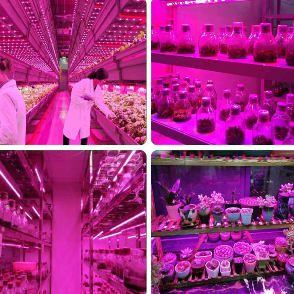 5V USB Led Plant Grow Light Full Spectrum Phyto Lamp 1m 2m 3m Strip For Seeds Flower Greenhouse Tent Hydroponic Plants Lighting