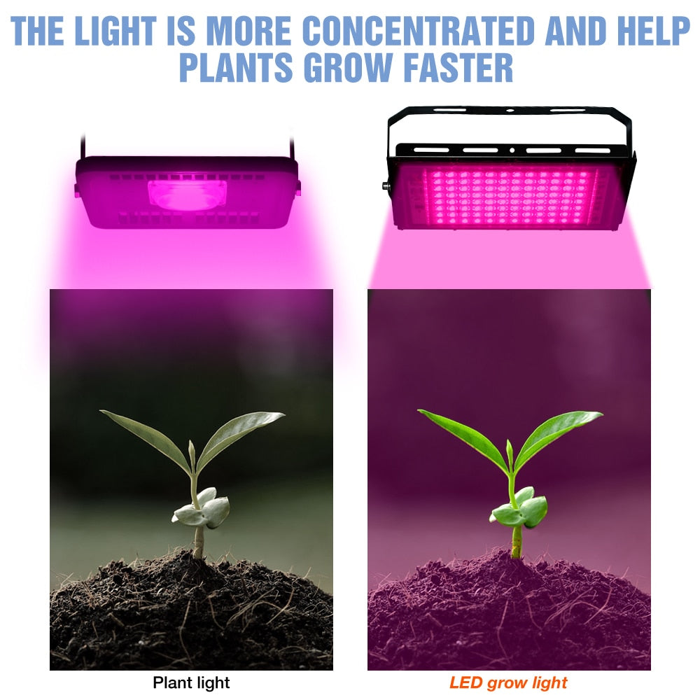 Phytolamp For Plants - LED Grow Light 200W - Full Spectrum Hydroponic Lamp.