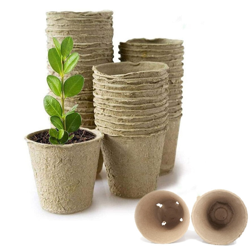 6cm / 8cm Biodegradable Paper Grow Pot for seedlings.